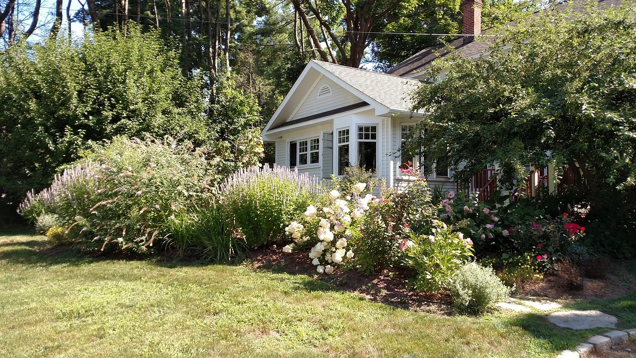 Professional backyard design and landscaping