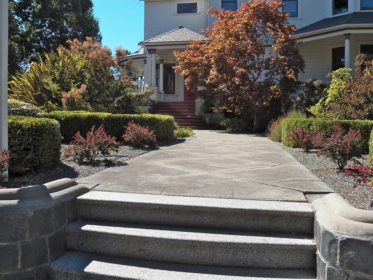 Professional garden landscaping and planting design